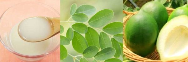 このこのごはんモリンガ