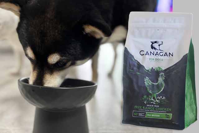 偏食気味な柴犬も食いつく嗜好性