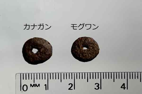 カナガンとモグワンの粒を比較