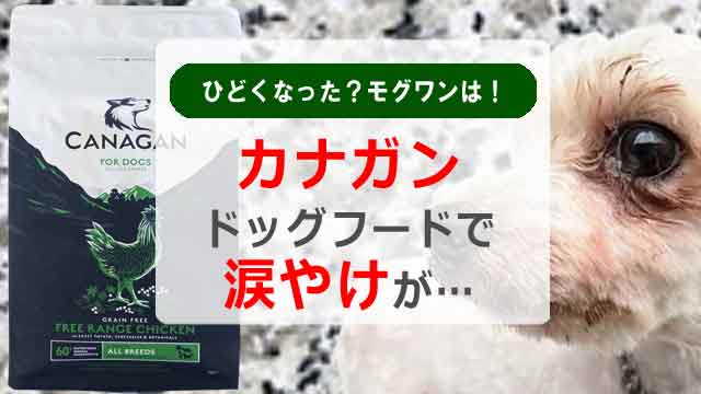 カナガンドッグフードで涙やけがひどくなった?モグワンは!