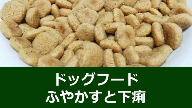 ドッグフードをふやかすと下痢に？原因と解決法の完全ガイド