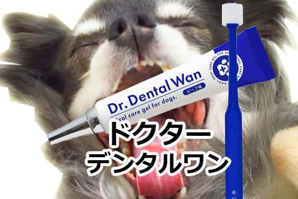 ドクターデンタルワンの悪い口コミは間違い！注文時に必要な情報