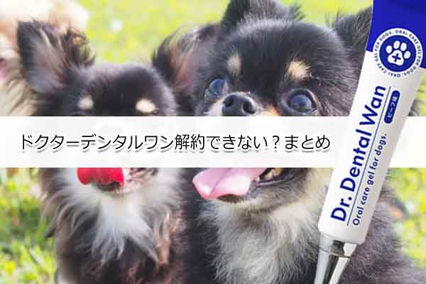 ドクターデンタルワンは解約できない？のまとめ