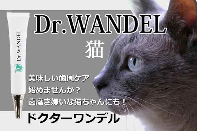 ドクターワンデル猫用！犬と違うたった１つの【注意点】とは！