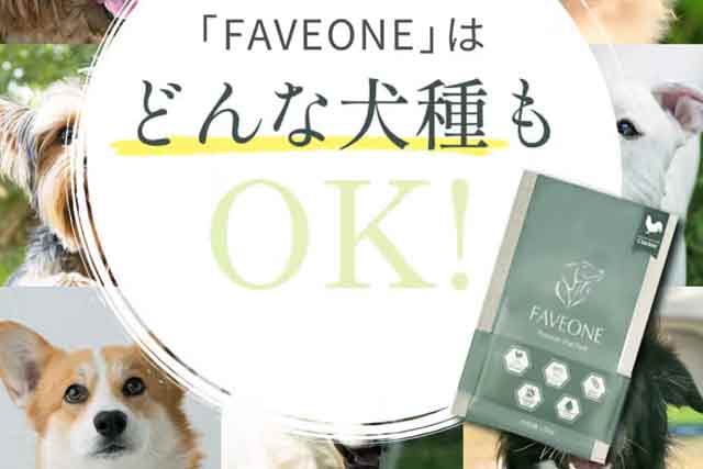 全犬種・全年齢に対応！ファイヴワンの万能性を検証