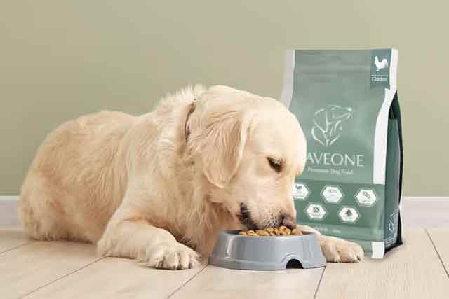 フェイヴワンの口コミから見るリアルな評価と体験談