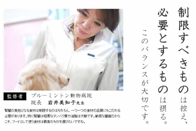 腎臓病の犬に適したドッグフードとは