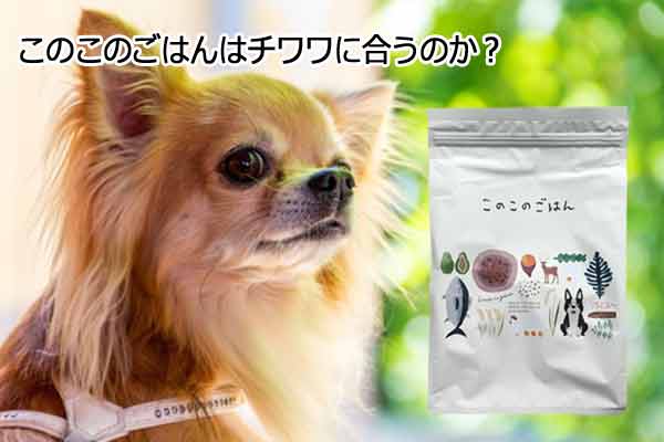 このこのごはんチワワ
