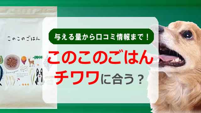 このこのごはんはチワワに合う?与える量から口コミ情報まで!