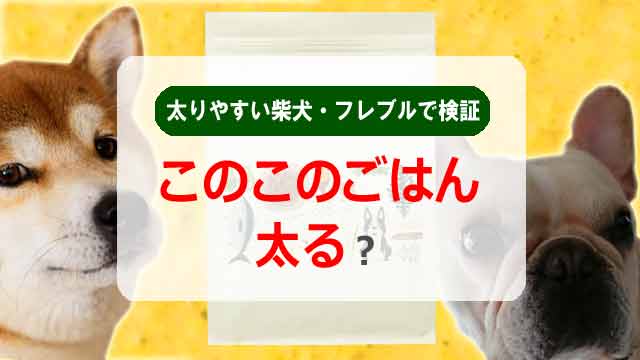 このこのごはんは太る?太りやすい柴犬・フレブルで検証!