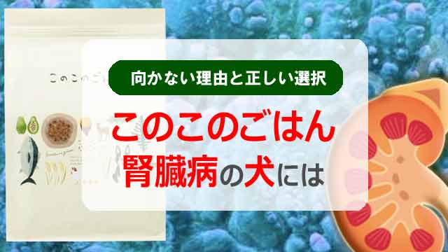 このこのごはんは腎臓病の犬には向かない理由と正しい選択とは