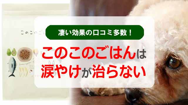 このこのごはんは涙やけが治らない？凄い効果の口コミ多数！