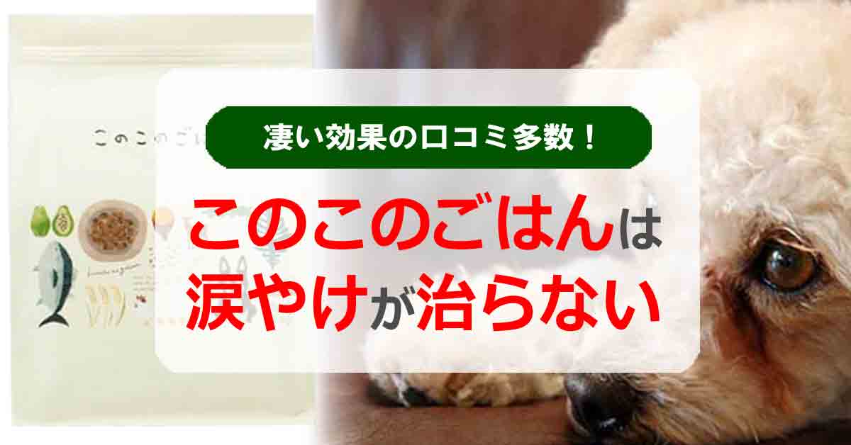 このこのごはんは涙やけが治らない？凄い効果の口コミ多数！