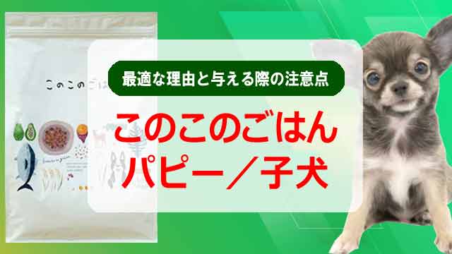 このこのごはんがパピー／子犬に最適な理由と与える際の注意点