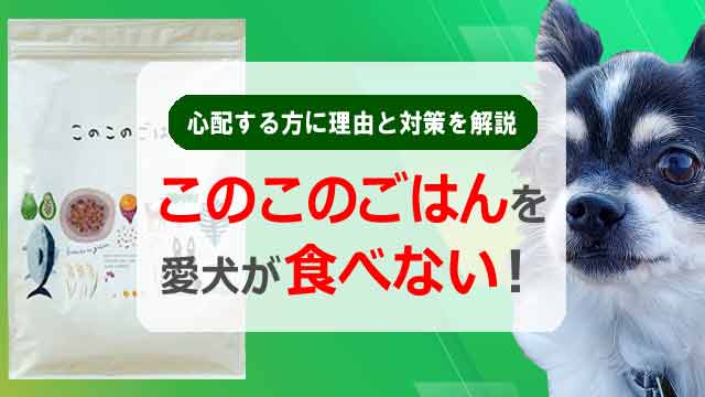 このこのごはんを食べない!と心配する方に理由と対策を解説!