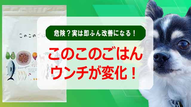 このこのごはんはウンチが変化で危険？実は食糞改善になる！