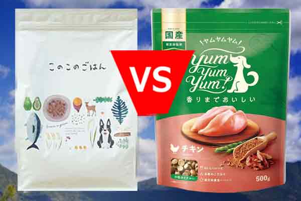 結局どっちがおすすめ？タイプ別で最終判断