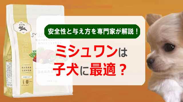 ミシュワンは子犬に最適?安全性と与え方を専門家が解説