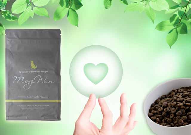 モグワンはイギリスからの輸送で劣化するのか？まとめ