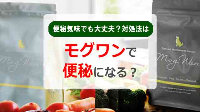 モグワンで便秘になる?便秘気味でも大丈夫?対処法はコレ!