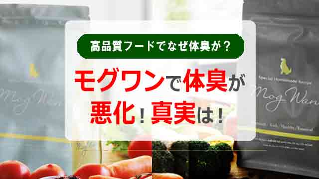 モグワンで体臭が悪化！高品質フードでなぜ体臭が？真実は！