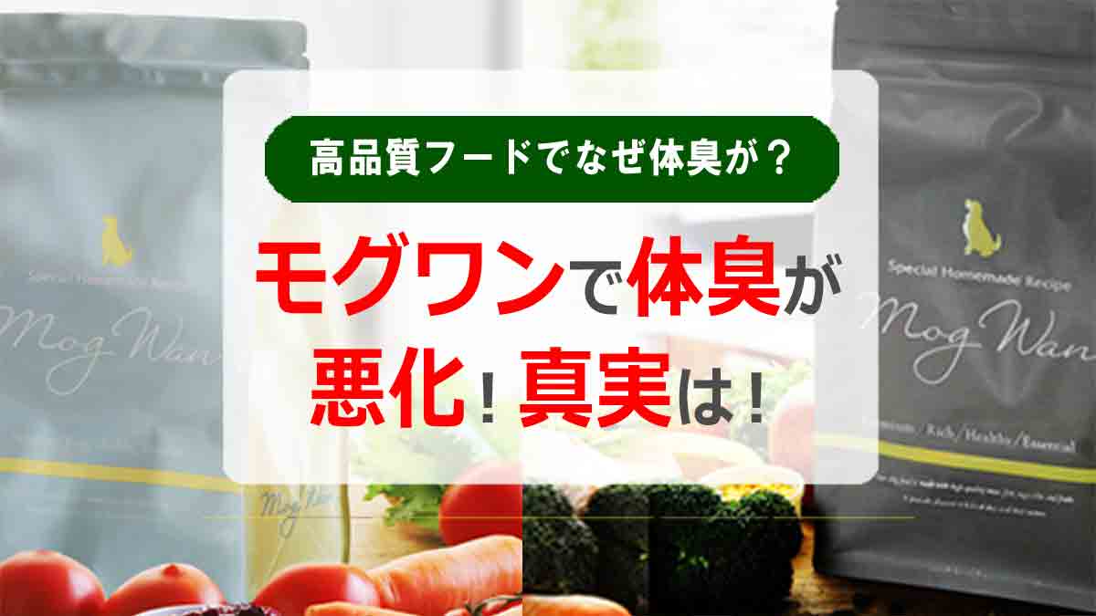 モグワンで体臭が悪化！高品質フードでなぜ体臭が？真実は！