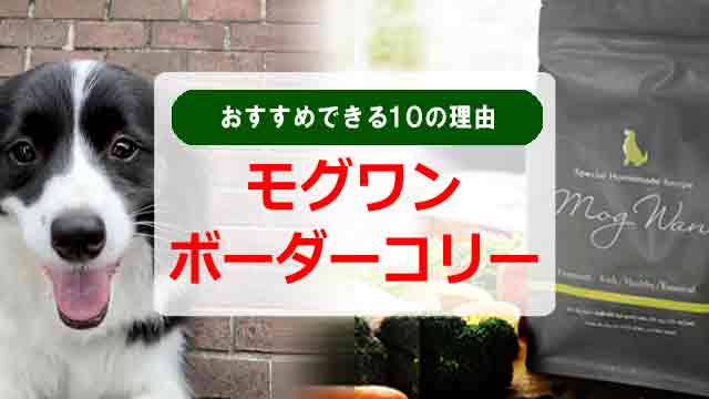 モグワンがボーダーコリーにおすすめできる10の理由とは！