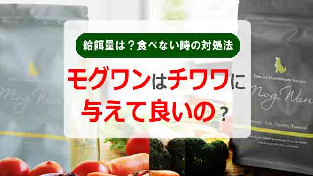 モグワンはチワワに与えて良いの?給餌量は?食べない時の対処法まで