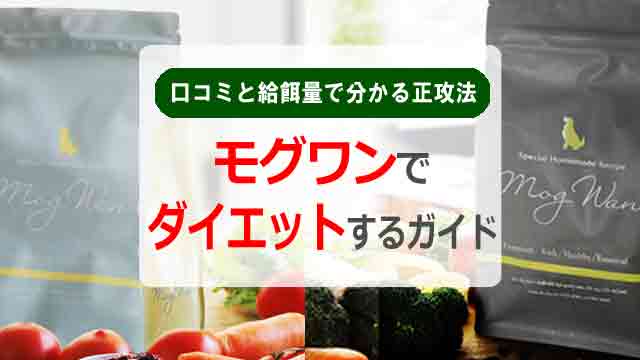 モグワンでダイエットする完全ガイド|口コミと給餌量で分かる成功法
