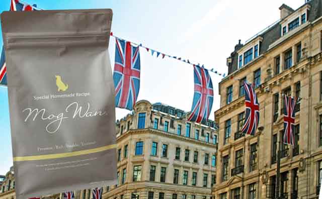 モグワンは本当にイギリス産？知られざる製造背景と選ばれる3つの理由