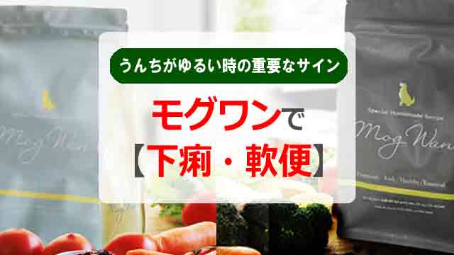 モグワンで【下痢・軟便】うんちがゆるい時の重要なサインとは！
