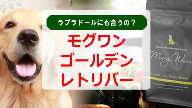 モグワン　ゴールデンレトリバー　ラブラドールレトリバー