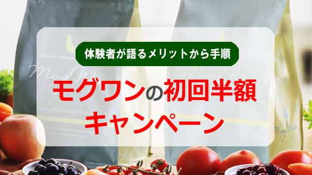 モグワン初回半額キャンペーンを体験者が語るメリットから手順まで