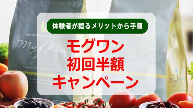 モグワン初回半額キャンペーンを体験者が語るメリットから手順まで