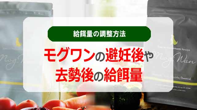 モグワンの避妊後や去勢後の犬に合わせる給餌量の調整方法！
