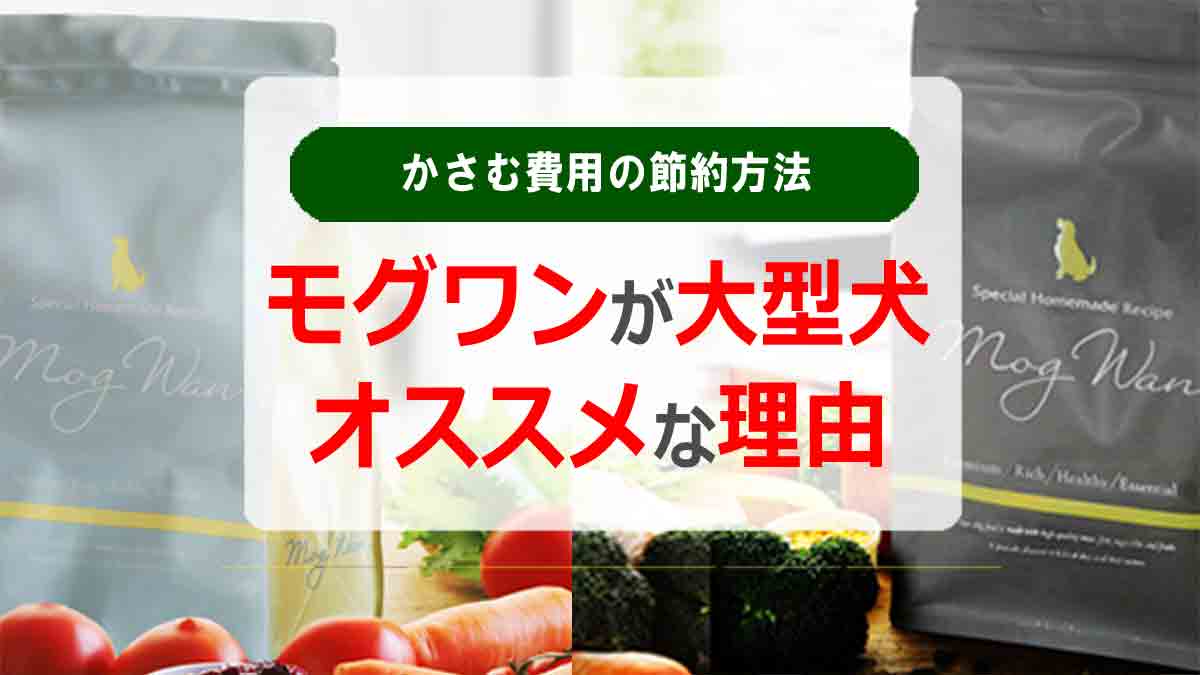 モグワンが大型犬にオススメな8つの理由！かさむ費用の節約法