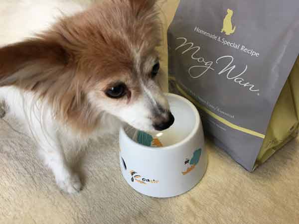 モグワンドッグフードのまとめ