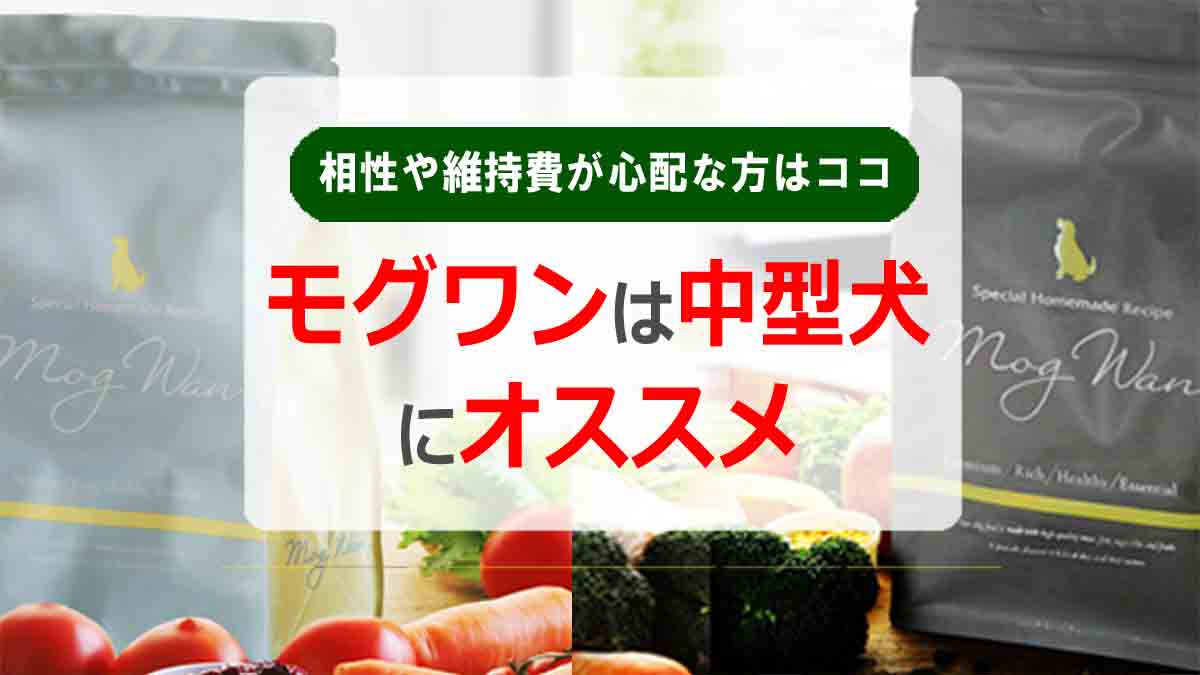 モグワンは中型犬にオススメ！相性や維持費が心配な方はココ！