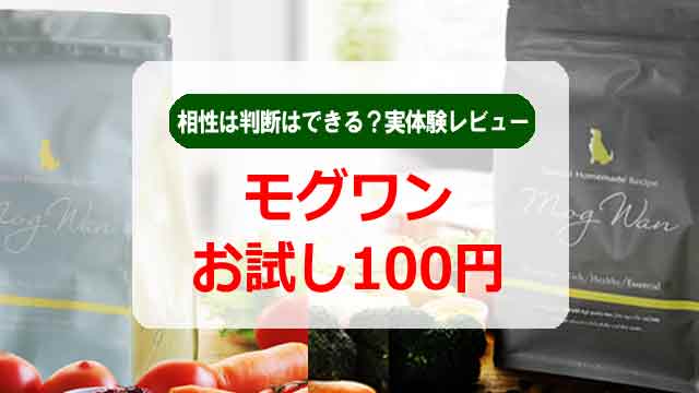モグワンお試し100円で相性は判断できる?実体験レビューのイメ^時