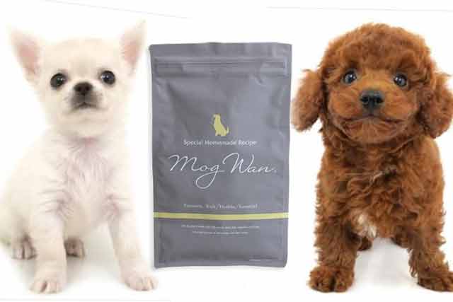 モグワンは子犬(パピー)にも最適な9つの理由
