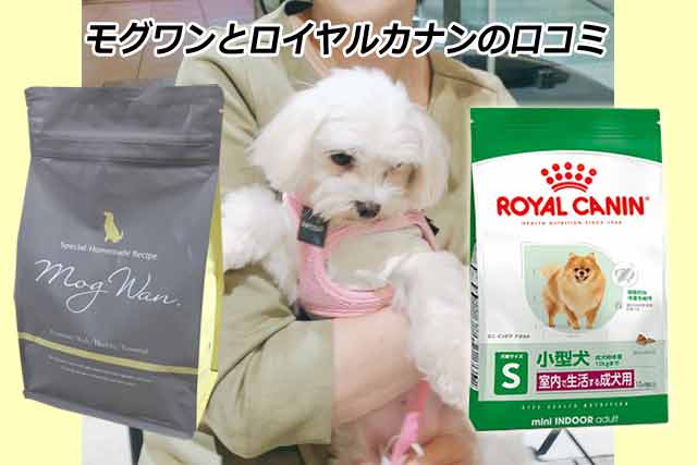 モグワンとロイヤルカナンの口コミを比較
