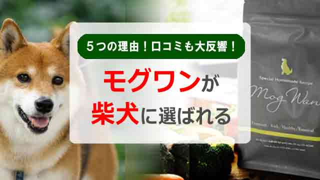 モグワンが柴犬のために選ばれる５つの理由！口コミも大反響！