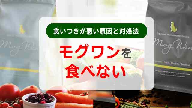 モグワンを食べない!食いつきが悪い原因と対処法を詳しく解説