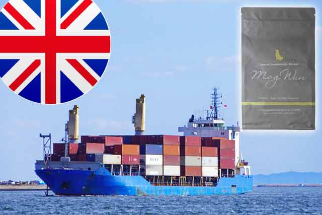 モグワンイギリス