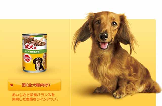 ペディグリーチャム缶詰の概要