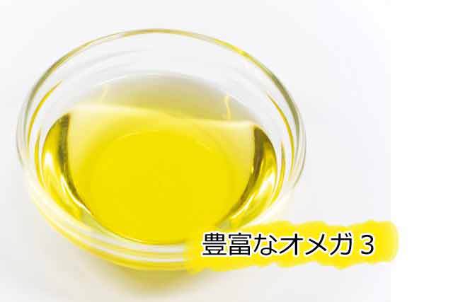 オメガ3脂肪酸で皮膚と被毛を健康に