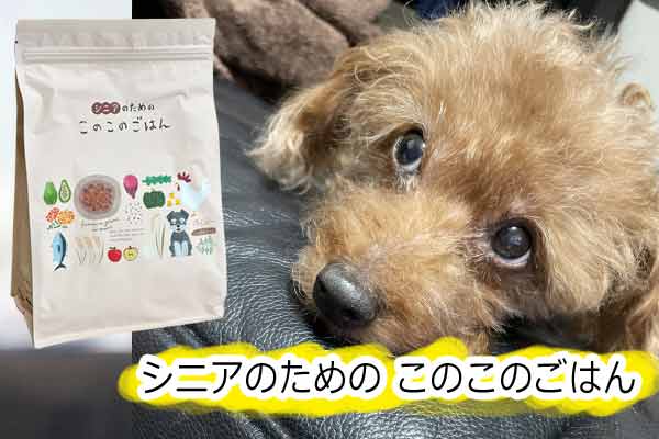 シニアのためのこのこのごはんの口コミで欲しくなったら