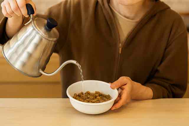 老犬のためのドッグフードのふやかし方と食事の基本理解