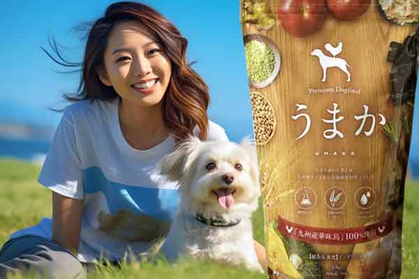 まとめ｜うまかは悪評の解決策を知って選ぶ