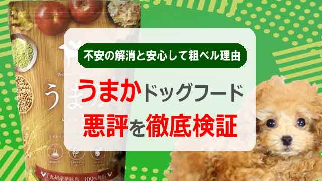うまかの悪評を徹底検証｜不安の正体と安心して選べる理由とは